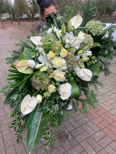 Złocień Kwiaciarnia Elbląg (stara Dębica)